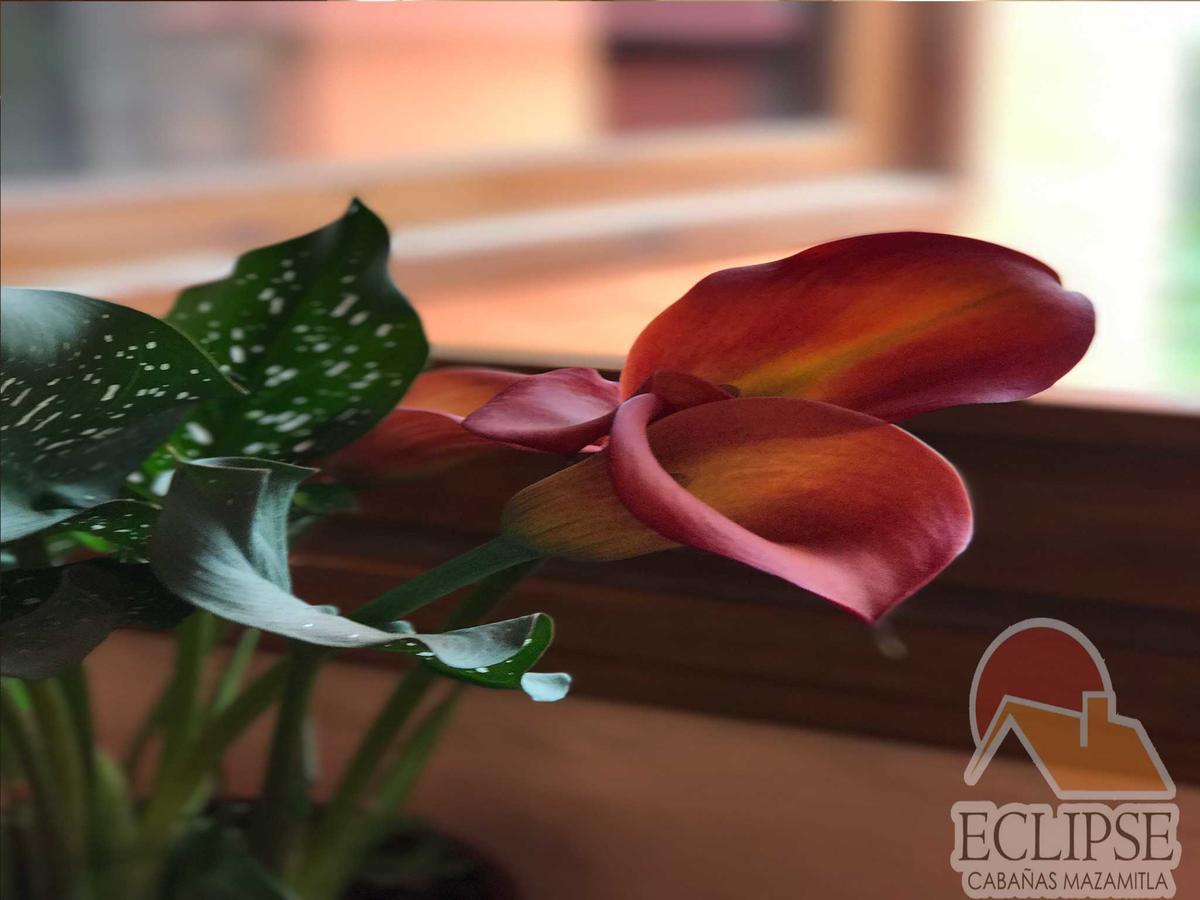 מלון מסמיטלה Cabanas Eclipse מראה חיצוני תמונה